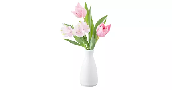 Dr. Julia Milman's Aesthetic Medicine